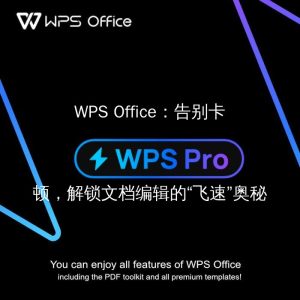 WPS Office运行卡顿？全面加速优化方案